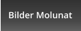 Bilder Molunat